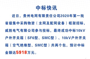 威勝電氣中標貴州電網5918萬元 威勝電氣中標貴州電網5918萬元