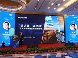 惟遠能源榮獲“十三五”新能源領(lǐng)軍企業(yè)，獻策“十四五”新能源產(chǎn)業(yè)發(fā)展