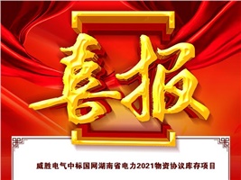 威勝電氣中標(biāo)國網(wǎng)湖南省電力2021物資協(xié)議庫存項目